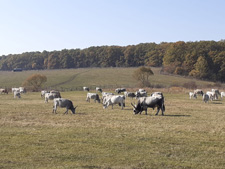 Romania-Transylvania-Gourmet Ride in Transylvania